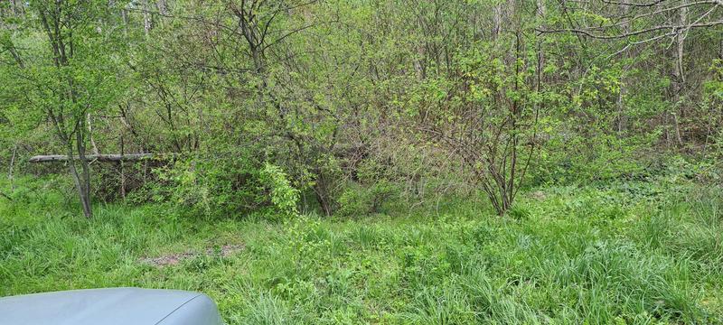 Екипът на РИОСВ - Хасково се включи в кампанията „Да сложим точка на замърсяването“ - 8