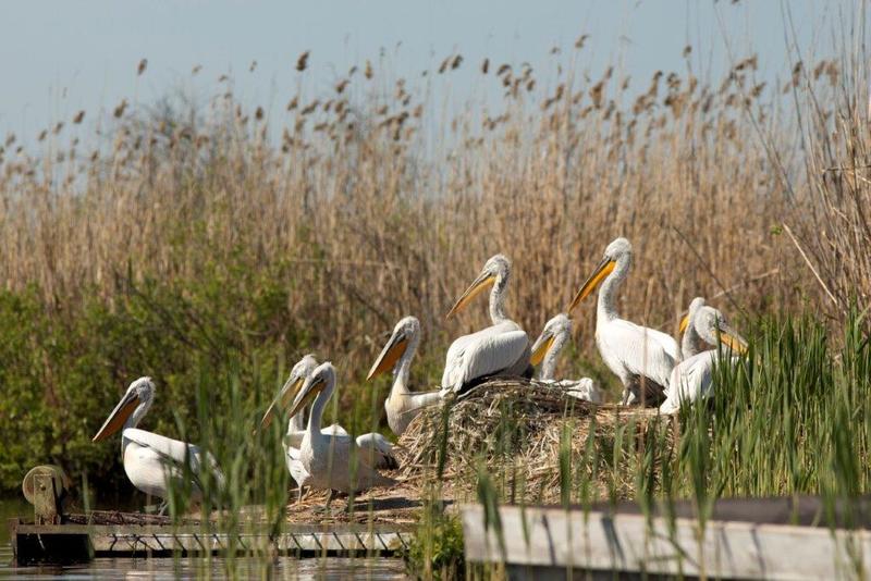 On November 3, we celebrate the International Day of Biosphere Parks - 3