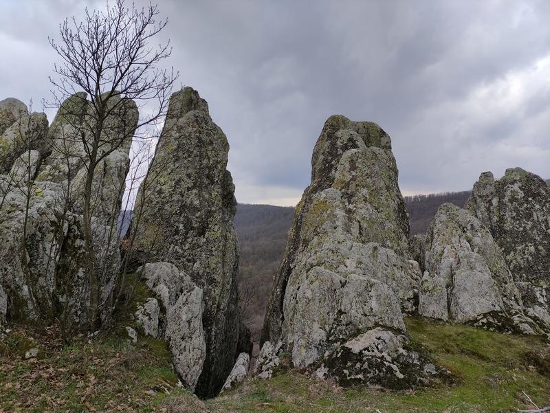 A new protected area was declared in the municipality of Topolovgrad – the natural landmark “Chernite Skali” - 01