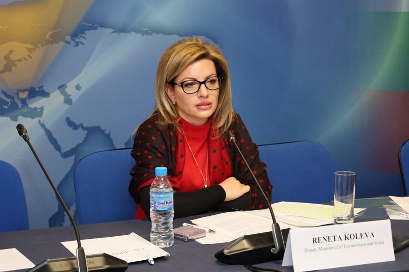 Заместник-министър Ренета Колева: Устойчива трансформация и зеленият преход на предприятията се разглеждат, като предизвикателства, но те са и възможности - 01