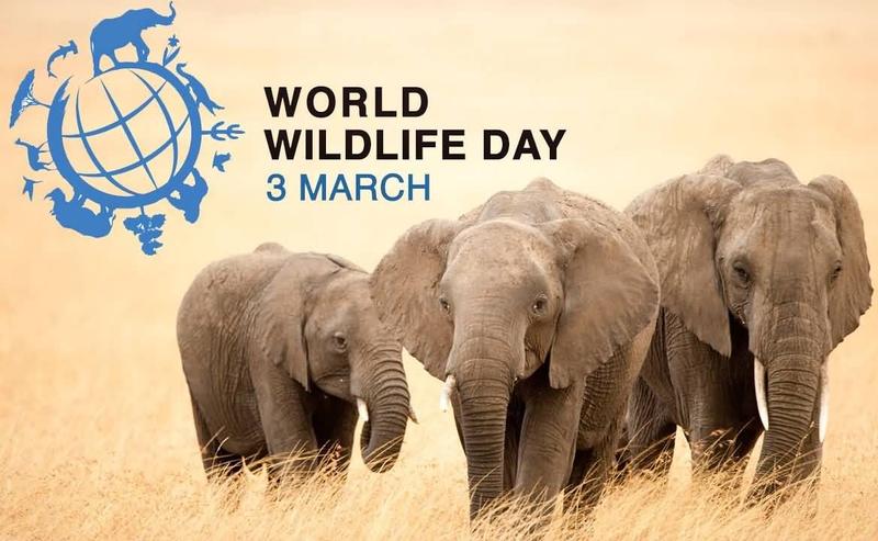 Световният ден на дивата природа се отбелязва на 3 март - 01