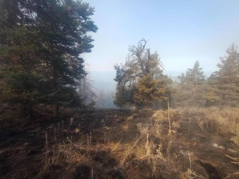 The fire in the Rila National Park is still not under control - 2