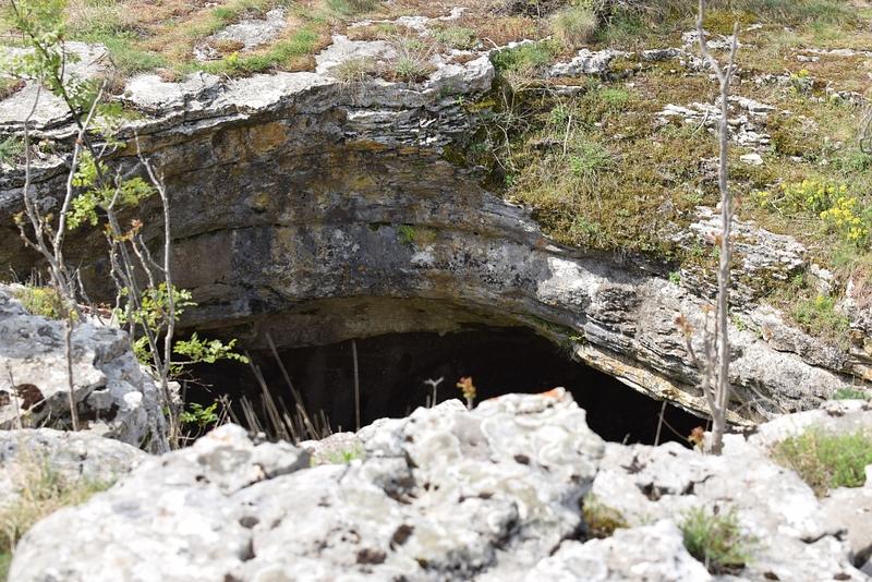Няма констатирани нарушения при извънредната проверка на ПЗ „Гълъбарника“ - 01