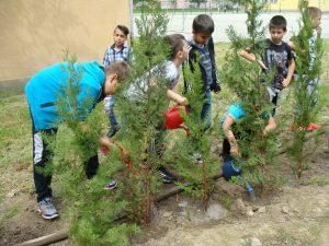 Експерти от РИОСВ-Плевен провериха изпълнението на проекти от кампанията „За чиста околна среда-2016 г.“ - 01