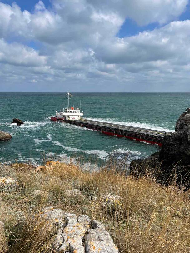 Analysis has been carried out based on biological elements for water quality in the region of the run-aground ship - 01