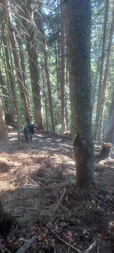 A fire broke out on the territory of the Rila Monastery Forest Reserve - 5