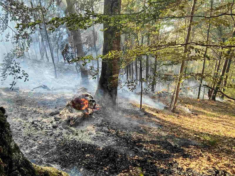 Fire rages in the “Steneto” reserve in the “Central Balkan” National Park - 8